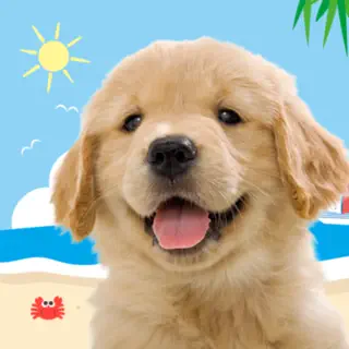 わんこと私 - 子犬のペット育成ゲーム